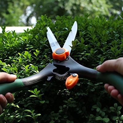 Siena Garden Heggenschaar