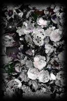 Moooi Carpets - Eden Queen B&W - 300x400 cm Vloerkleed - thumbnail