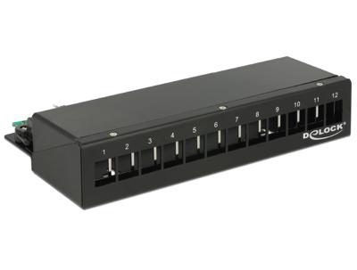 DeLOCK Keystone Desktop Patch Panel 12 Port patchpaneel