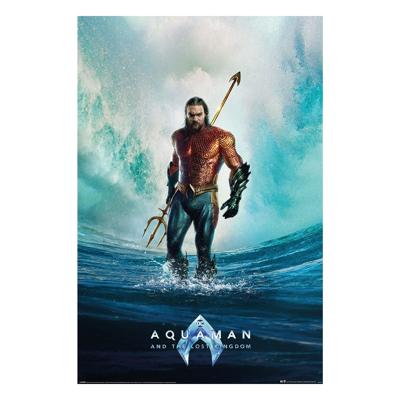Poster Aquaman and The Lost Kingdom 61x91,5cm Poster Aquaman and The Lost Kingdom 61x91,5cm