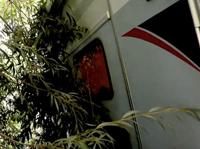 Reparatiemiddel voor krassen Quixx - thumbnail