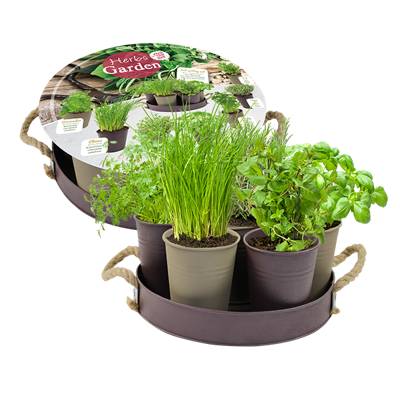 Bloembollen Herb Garden - (Taupe) 8 stuks Baltus - Baltus