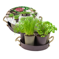 Bloembollen Herb Garden - (Taupe) 8 stuks Baltus - Baltus - thumbnail