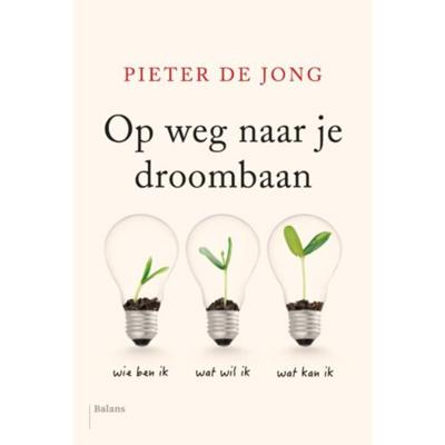 Op weg naar je droombaan (Paperback)