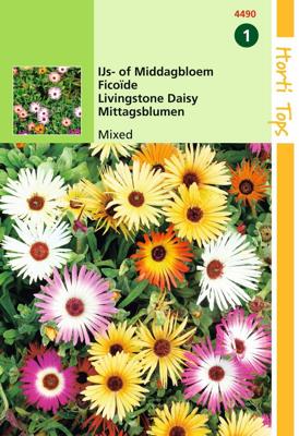 Zaden Dorotheanthus IJs- of Middagbloem gemengd Hortitops - Hortitops