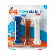 Nylabone puppy chew puppy starter kit chicken - thumbnail