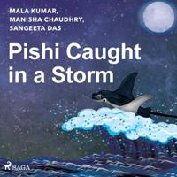 Pishi Caught in a Storm - thumbnail