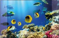 Kangaro K-0014D115 Bureauonderlegger PP 38x58cm Dessin Aquarium - thumbnail