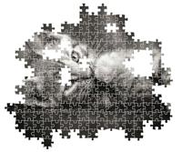 Clementoni High Quality Collection Puzzel Kitten 1000 Stukjes + Poster - thumbnail