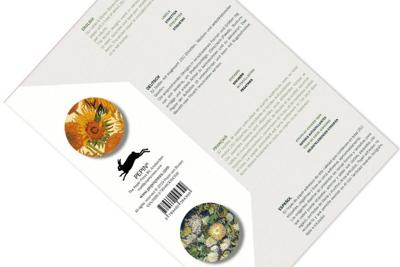 Vincent van Gogh (Paperback)