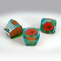 Greengift Terracotta Klaproos - thumbnail