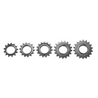 Fixed Tandwiel 15t - Zilver + Lockring - thumbnail