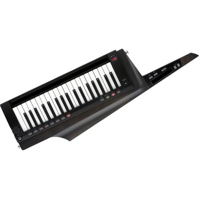 Korg RK-100S 2 Black keytar