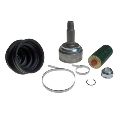 Homokineetset ADH28978