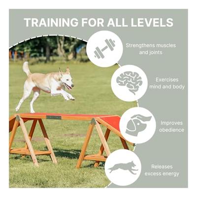 TRIXIE DOG ACTIVITY AGILITY HONDENLOOP 456X64X30 CM - thumbnail