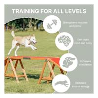Trixie Fun Agility Loopbrug hond - thumbnail