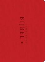 Naardense Bijbel (Paperback) - thumbnail