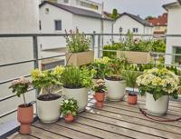 GARDENA Micro-Drip system 13401-20 Complete bewateringsset 13 mm (1/2) Ø Druppelirrigatie balkon (15 planten) - thumbnail