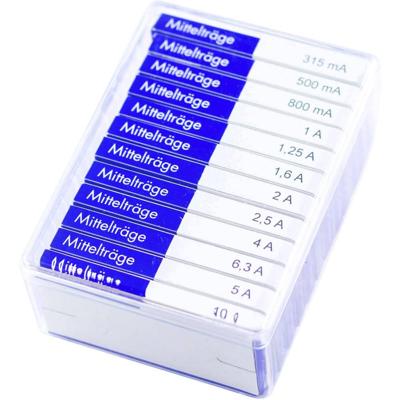 ESKA 632.820 632820 Buiszekering assortiment (Ø x l) 6.3 mm x 32 mm Normaal -mT- Inhoud 120 onderdelen ESKA 632.820 632820 Buiszekering assortiment (Ø x l) 6.3 mm x 32 mm Normaal -mT- Inhoud 120 onderdelen
