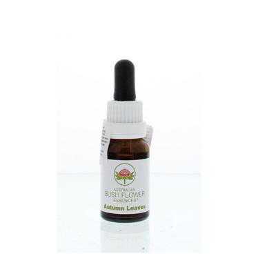 Australian Bush Autumn leaves 15 Milliliter