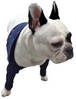 Medical Pet Shirt TAZ2 Voorpoot Mouwtjes XS - thumbnail