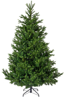 Kunstkerstboom Nordmann Fir groen H180 D130 cm Everlands - Everlands - thumbnail