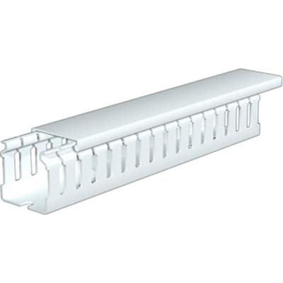 Weidmüller 2589680000 Kabelgoot (l x b x h) 2 m x 25 mm x 50 mm 26 stuk(s) Lichtgrijs Weidmüller 2589680000 Kabelgoot (l x b x h) 2 m x 25 mm x 50 mm 26 stuk(s) Lichtgrijs