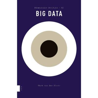 Big Data (Paperback)