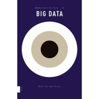 Big Data (Paperback) - thumbnail