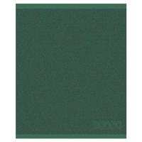 DDDDD DDDDD keukendoek logo 50x55cm green - thumbnail