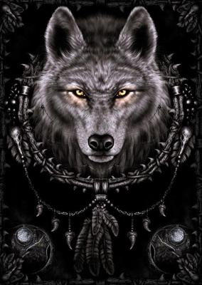 Poster Spiral Wolf Dreams 61x91,5cm