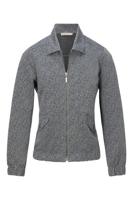 Dreamstar Jack W25 121 Donika - thumbnail