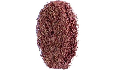 PFERD TOOLS 44693050 Vliesschijf 50 mm 10 stuk(s)