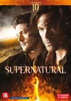Supernatural - Seizoen 10 (DVD) - thumbnail