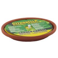 Citronellakaars in Terracotta Schaal 14.5 cm - thumbnail