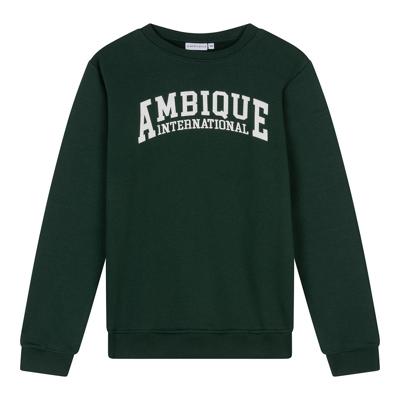 Ambique winter sweater jongens - Ivan - groen