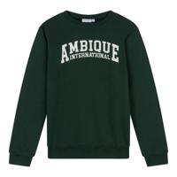 Ambique winter sweater jongens - Ivan - groen - thumbnail