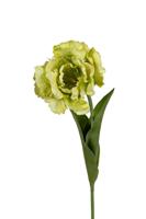 Papegaaitulp l66cm groen kunstbloem Louis Maes - Louis maes - thumbnail