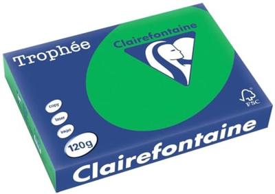 Clairefontaine Trophée Intens, gekleurd papier, A4, 120 g, 250 vel, bijartgroen