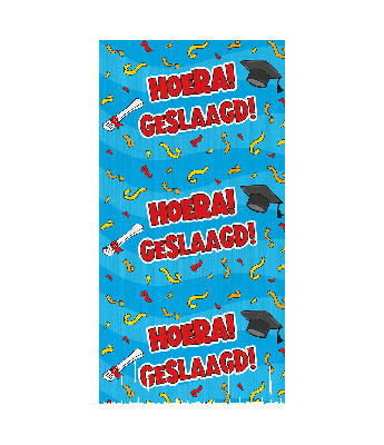 Feestgordijn Hoera Geslaagd Cartoon Blauw
