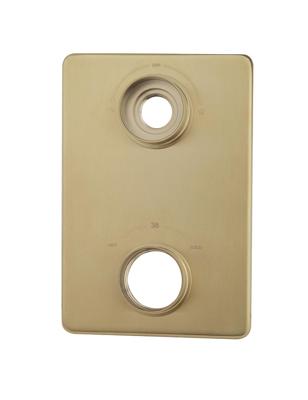 Verlengset Afbouwdeel Wiesbaden Caral 2 Weg Geborsteld Messing PVD