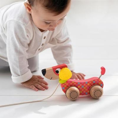 Educatief speelgoed Goula Goula Hout