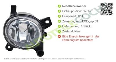 Mistlamp rechts 190795019