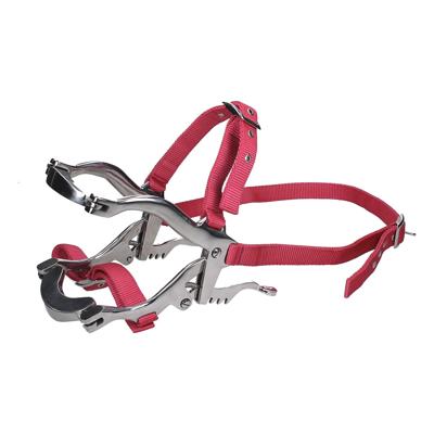 Mondklem Epplejeck in roze Mondklem Epplejeck in roze