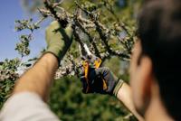 Fiskars 1020204 PB-8 M Tuinschaar 201 mm Bypass - thumbnail