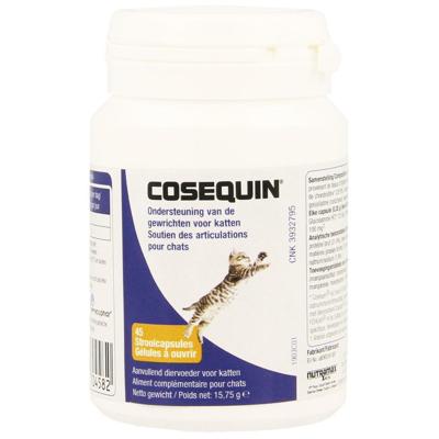 Cosequin Kat Strooicaps 45