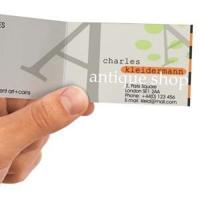 Visitekaart Avery Zweckform C32010-25 85x54mm 185gr 250stuks - thumbnail