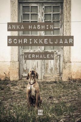 Schrikkeljaar - Anka Hashin - ebook