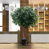 Kunst Eikenboom Giant deluxe 300cm - thumbnail