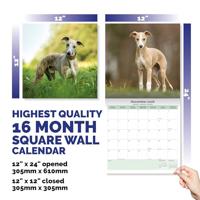 Whippet Kalender 2026 - thumbnail